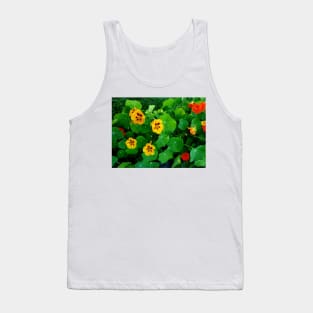 Yellow and orange nasturtiums Tank Top